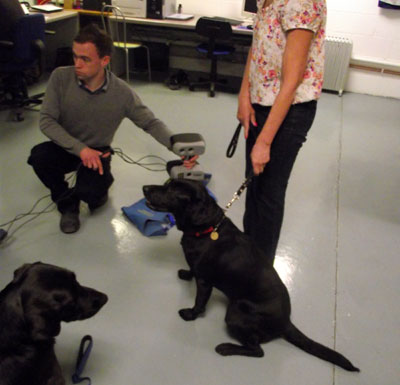 3D scanning of guide dog