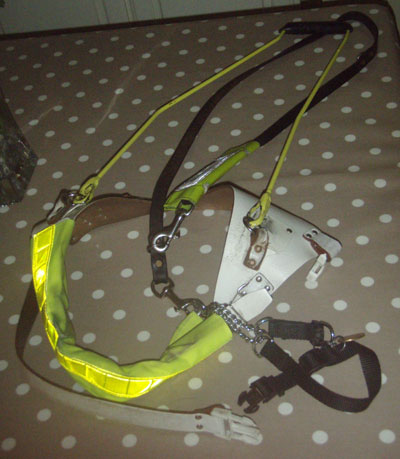 Traditional guide dog harness design